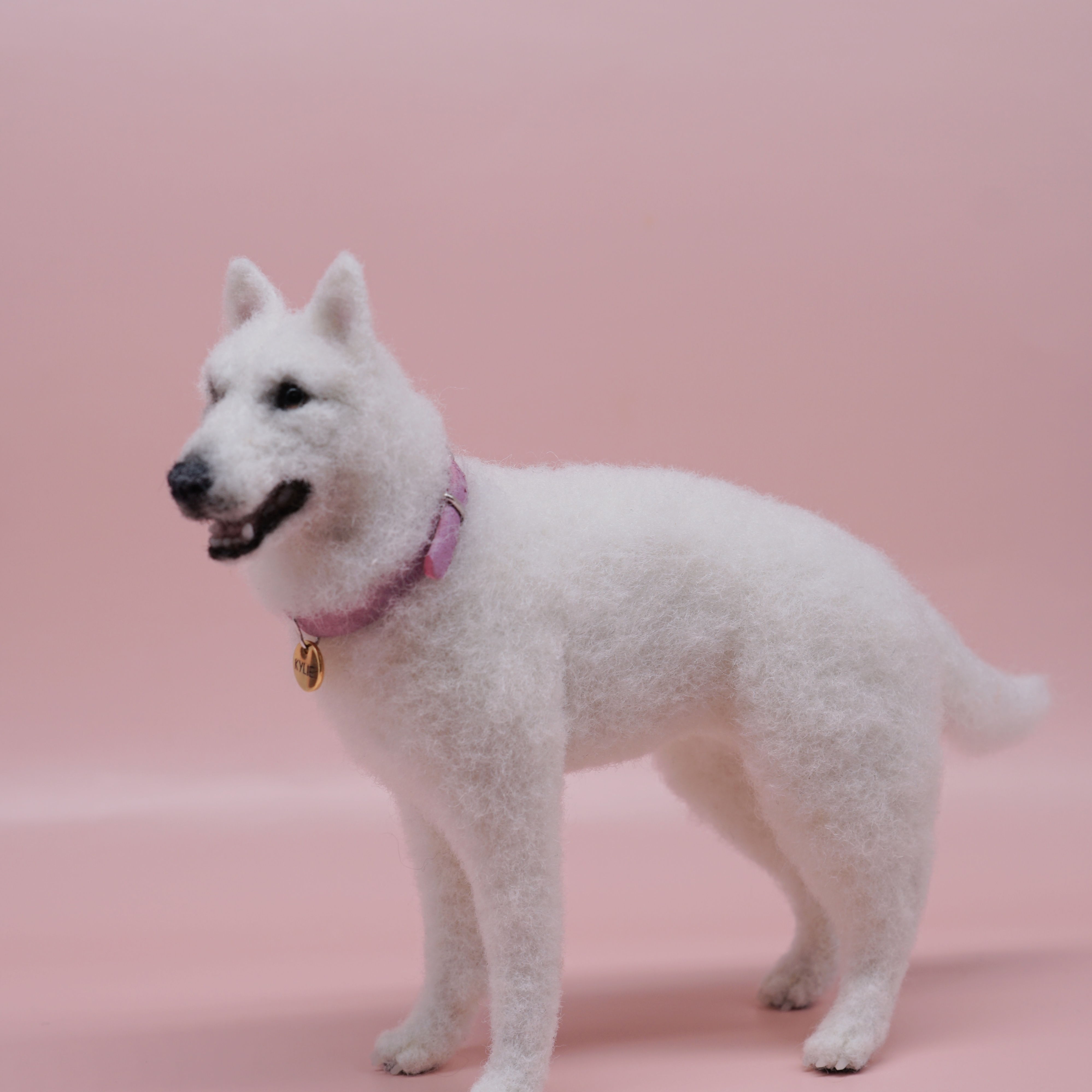 DOGS