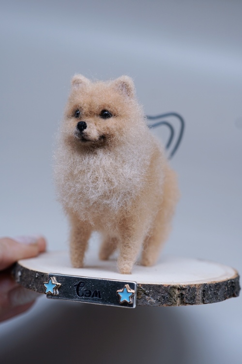 Dog on the stand