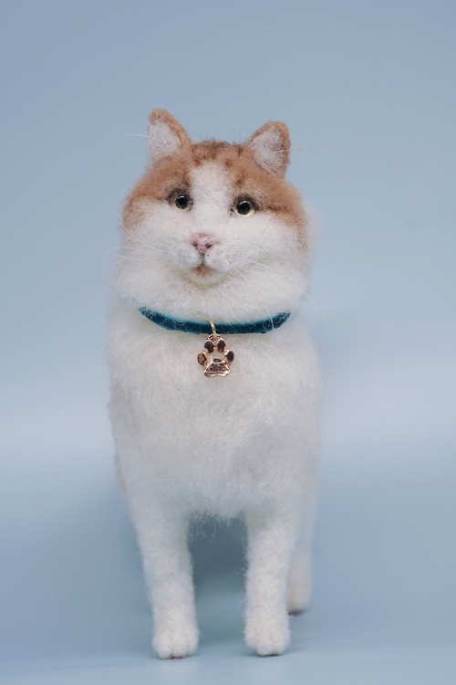 Big size cat