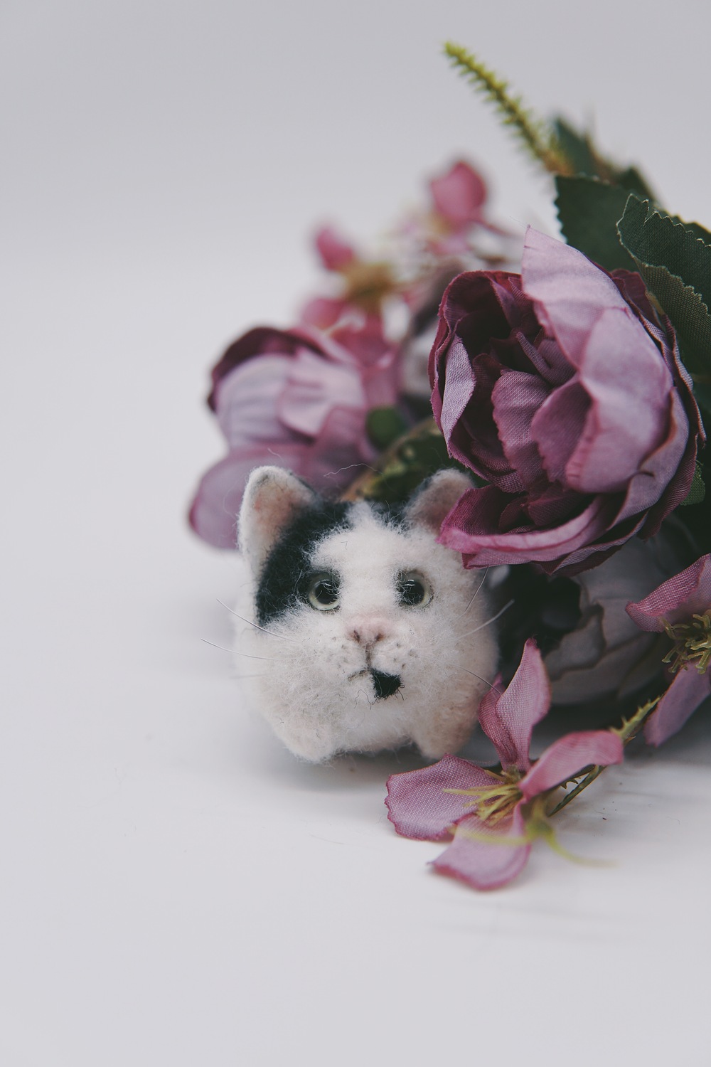 Round toy of your cat