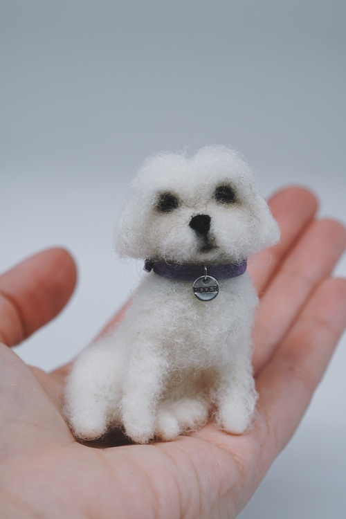 Small size dog